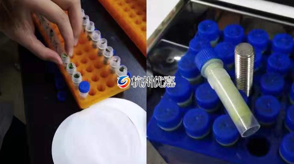 宋慈研磨儀批量研磨植物組織，速度快，重復(fù)性好